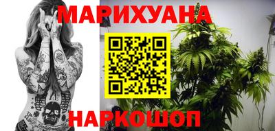 крисы Бузулук